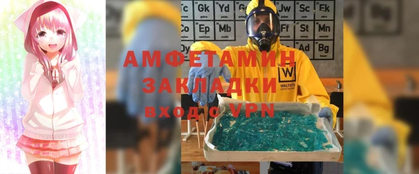 индика Ладушкин