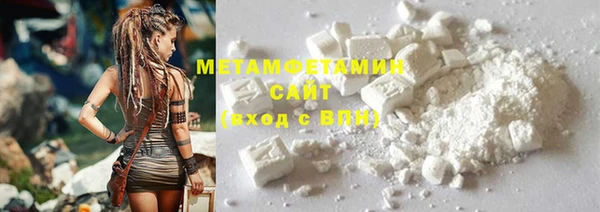 индика Ладушкин