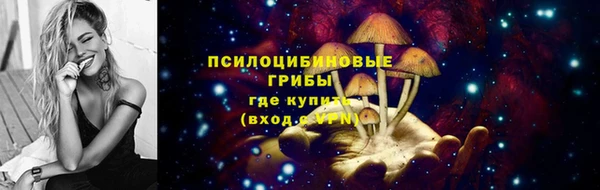 индика Ладушкин