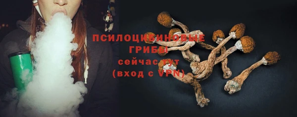 индика Ладушкин