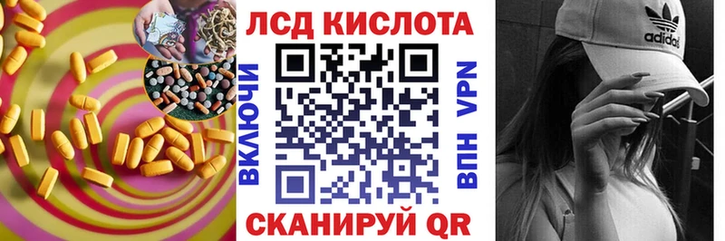 где купить наркотик  Суздаль  mega как зайти  LSD-25 экстази ecstasy 